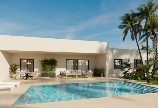 Villa - Nybyggnasjon - Aspe - Poligono 19