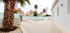 Nybyggnasjon - Villa - Torrevieja - Costa Blanca South