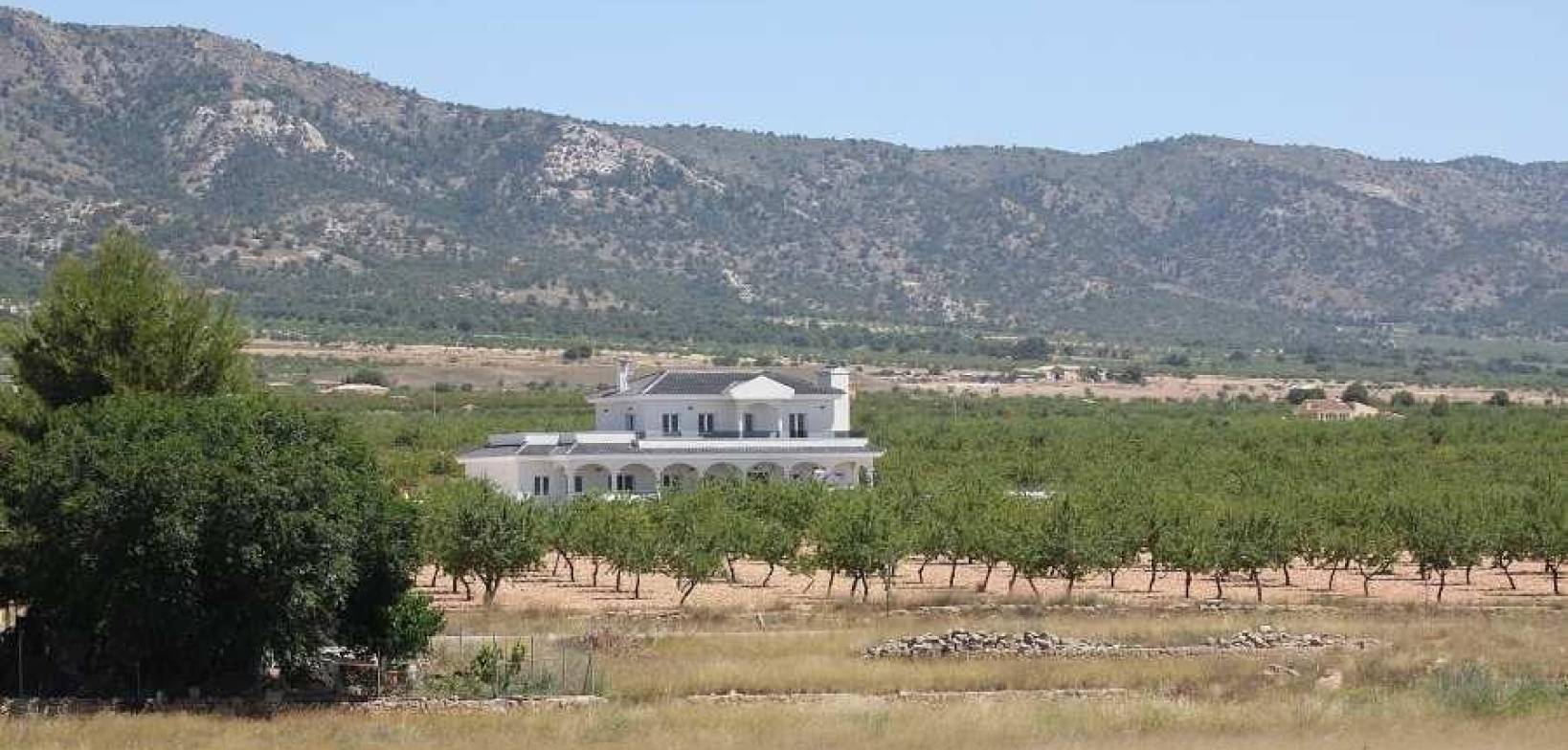 Neubau - Villa - Pinoso - Costa Blanca South - Inland