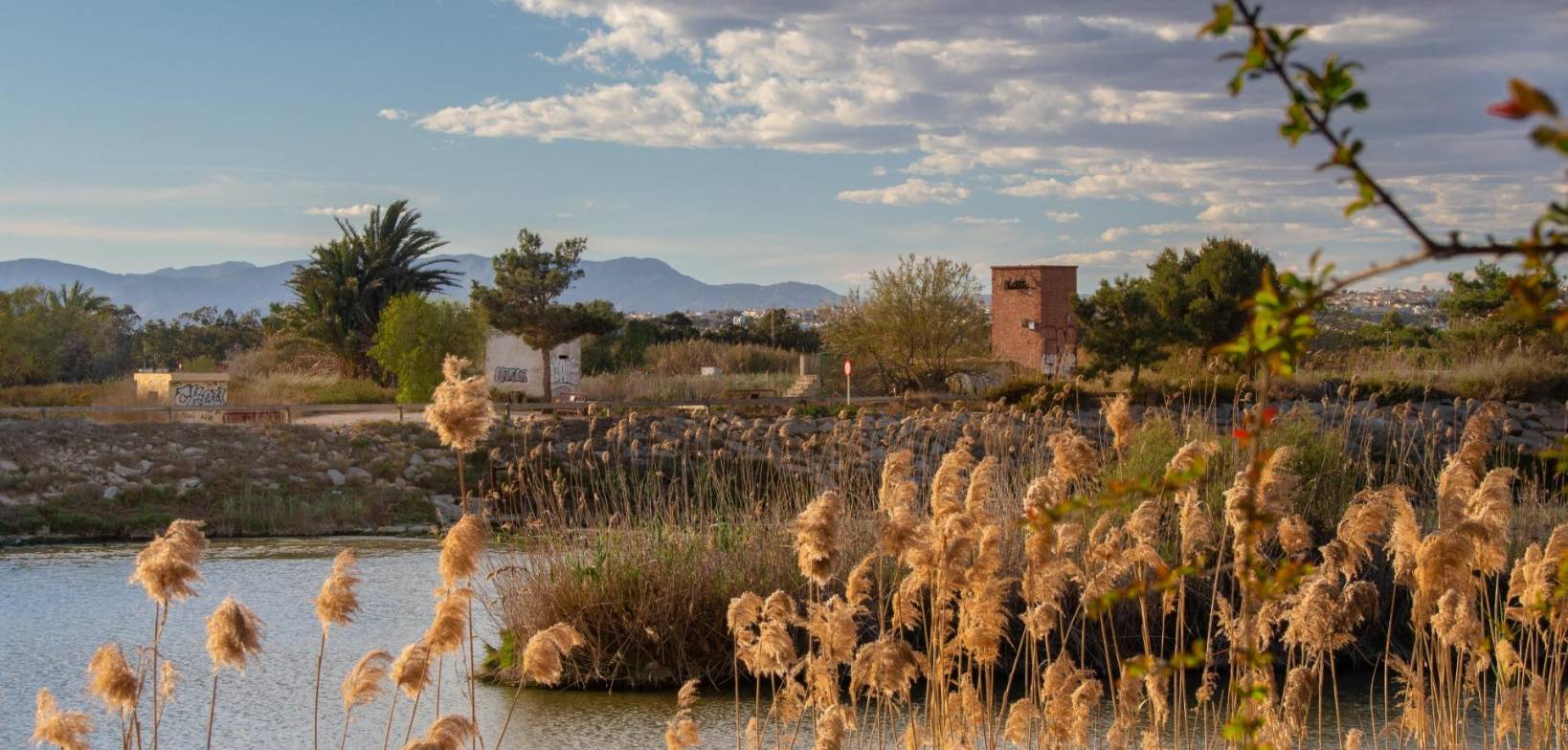 Neubau - Bungalow - Guardamar del Segura - Costa Blanca South