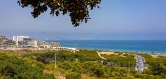 Neubau - Penthouse - Arenales del Sol - Costa Blanca South