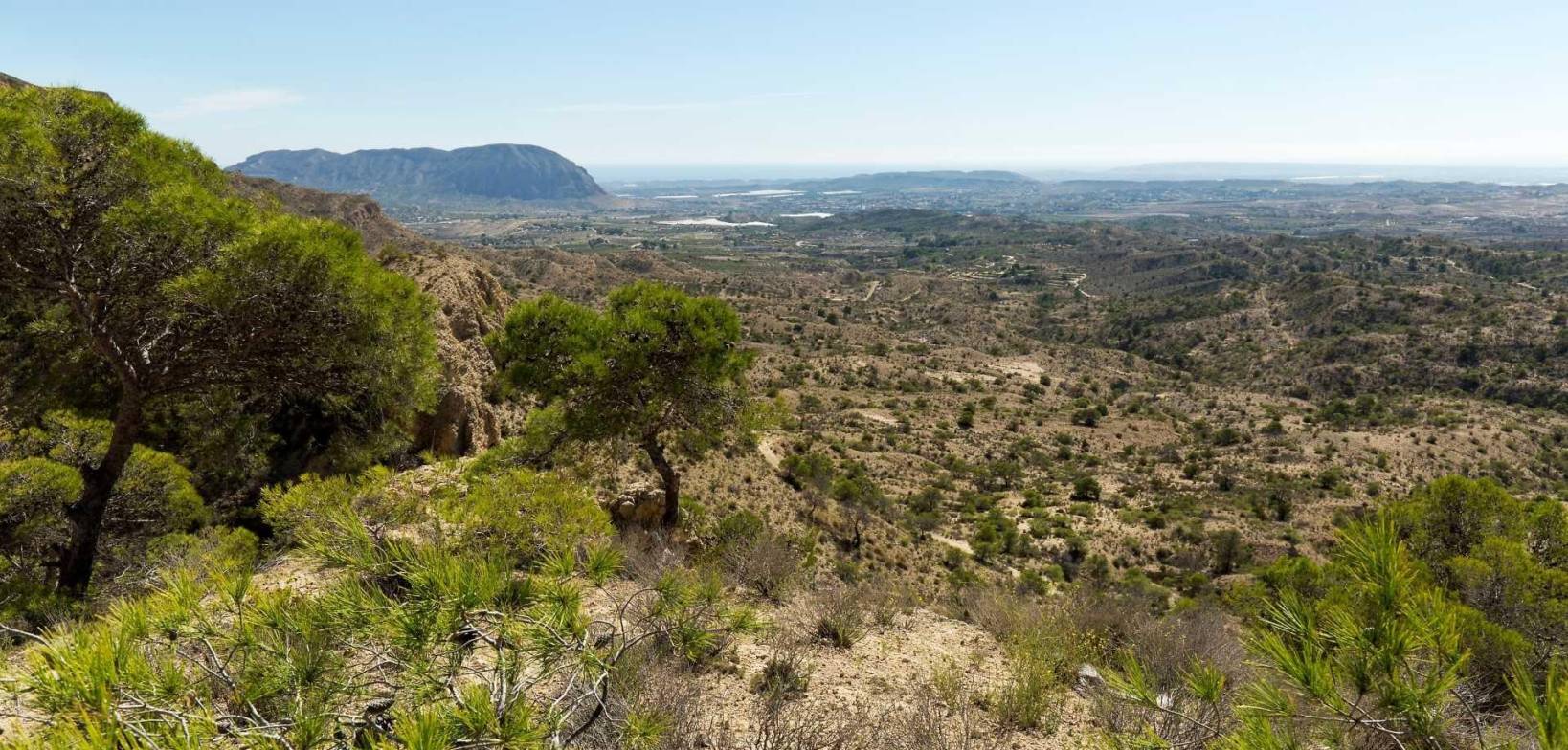 Nybyggnasjon - Villa - Aspe - Costa Blanca North - Inland