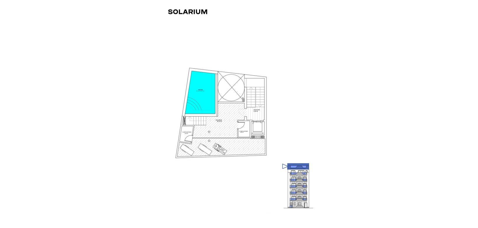 Nueva construcción  - Apartment - Torrevieja - Costa Blanca South