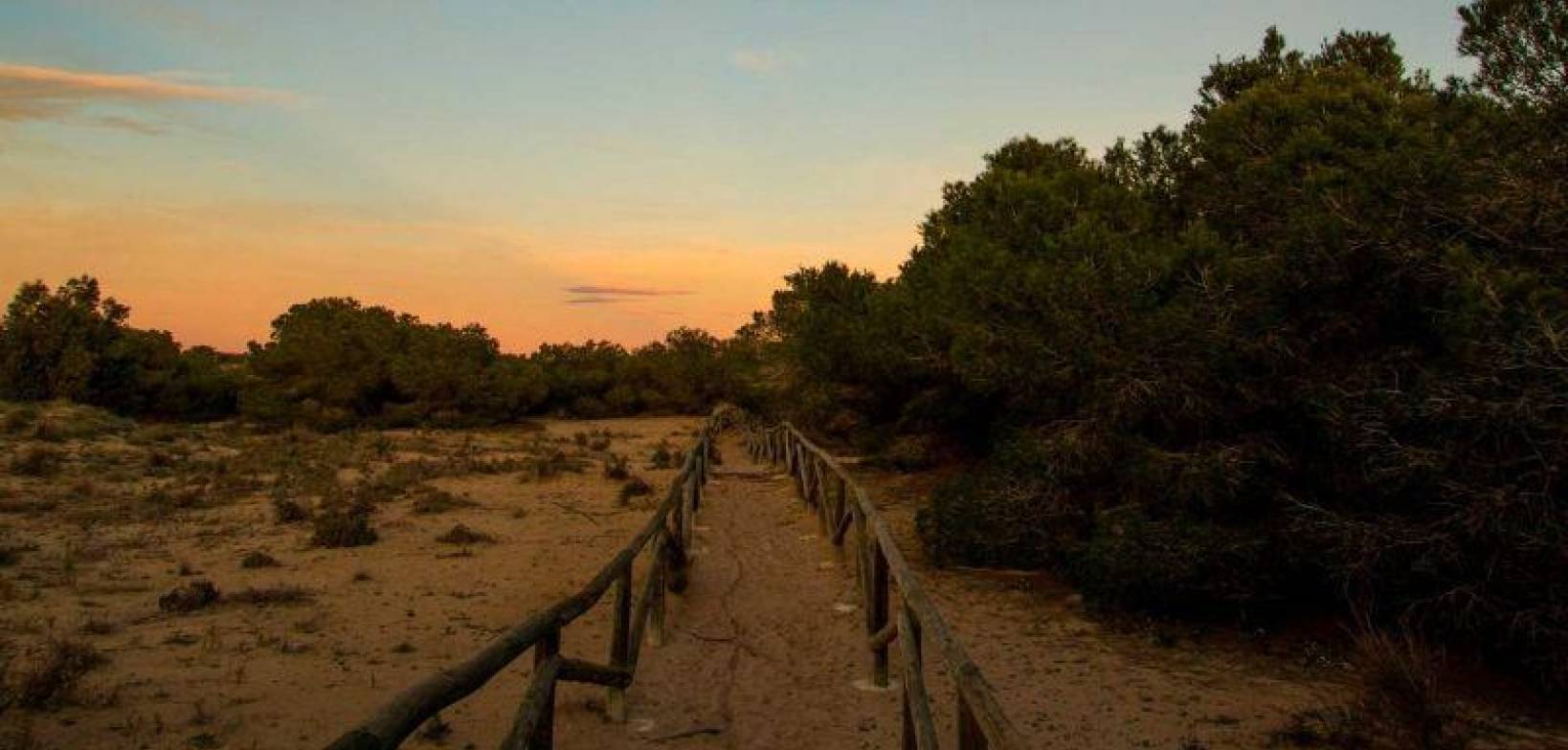 Neubau - Villa - La Marina - Costa Blanca South