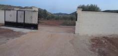 Nouvelle construction - Villa - Pinoso - Costa Blanca South - Inland