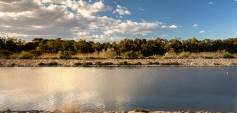 Neubau - Bungalow - Guardamar del Segura - Costa Blanca South