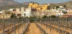 Neubau - Bungalow - Hondón de las Nieves - Costa Blanca South - Inland