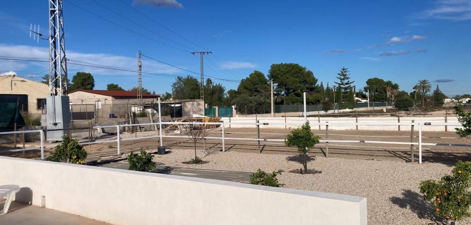 Venta - Finca - Crevillente