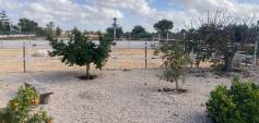 Venta - Finca - Crevillente