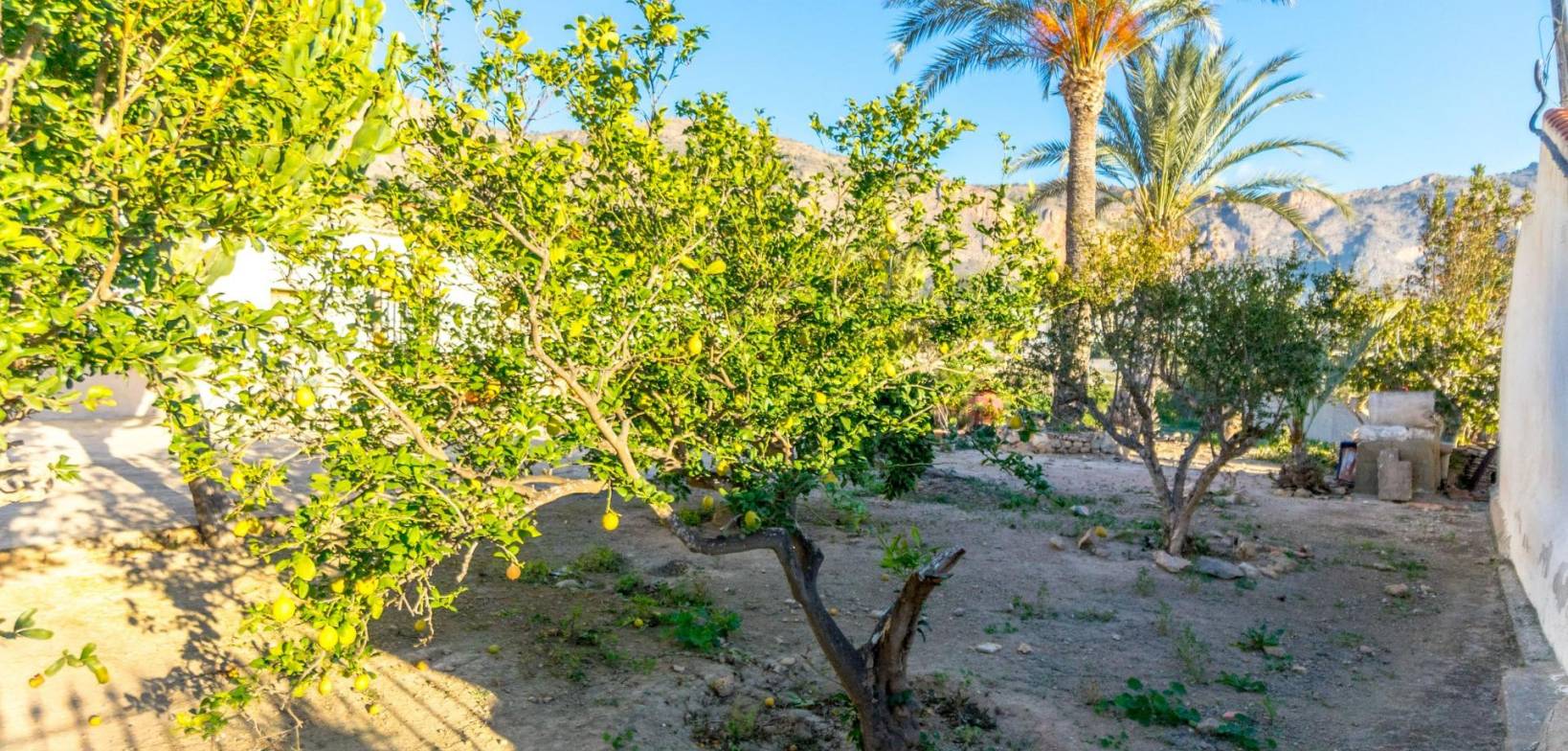 Begagnat - Lantställe - Orihuela - Raiguero de Bonanza