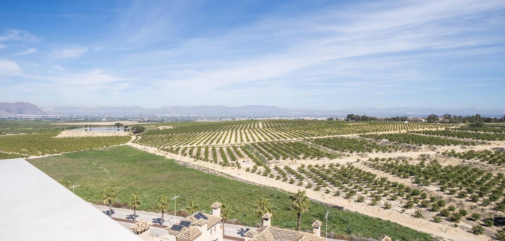 New Build - Villa - Algorfa - La finca golf