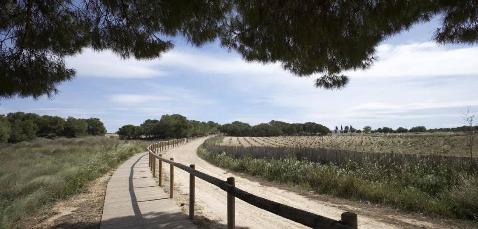 New Build - Bungalow - Torrevieja - Altos del Sol