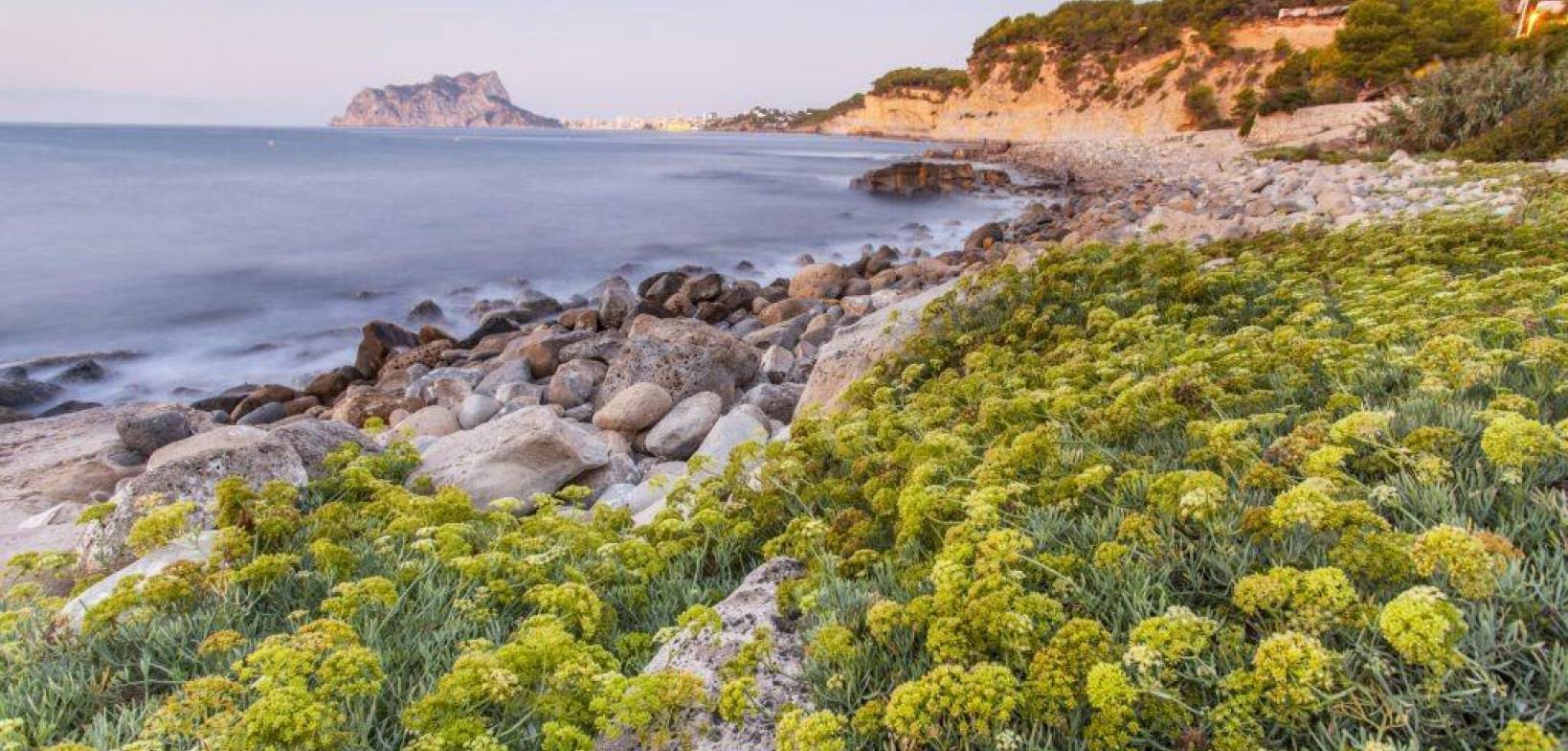 New Build - Villa - Benissa - Cala Advocat