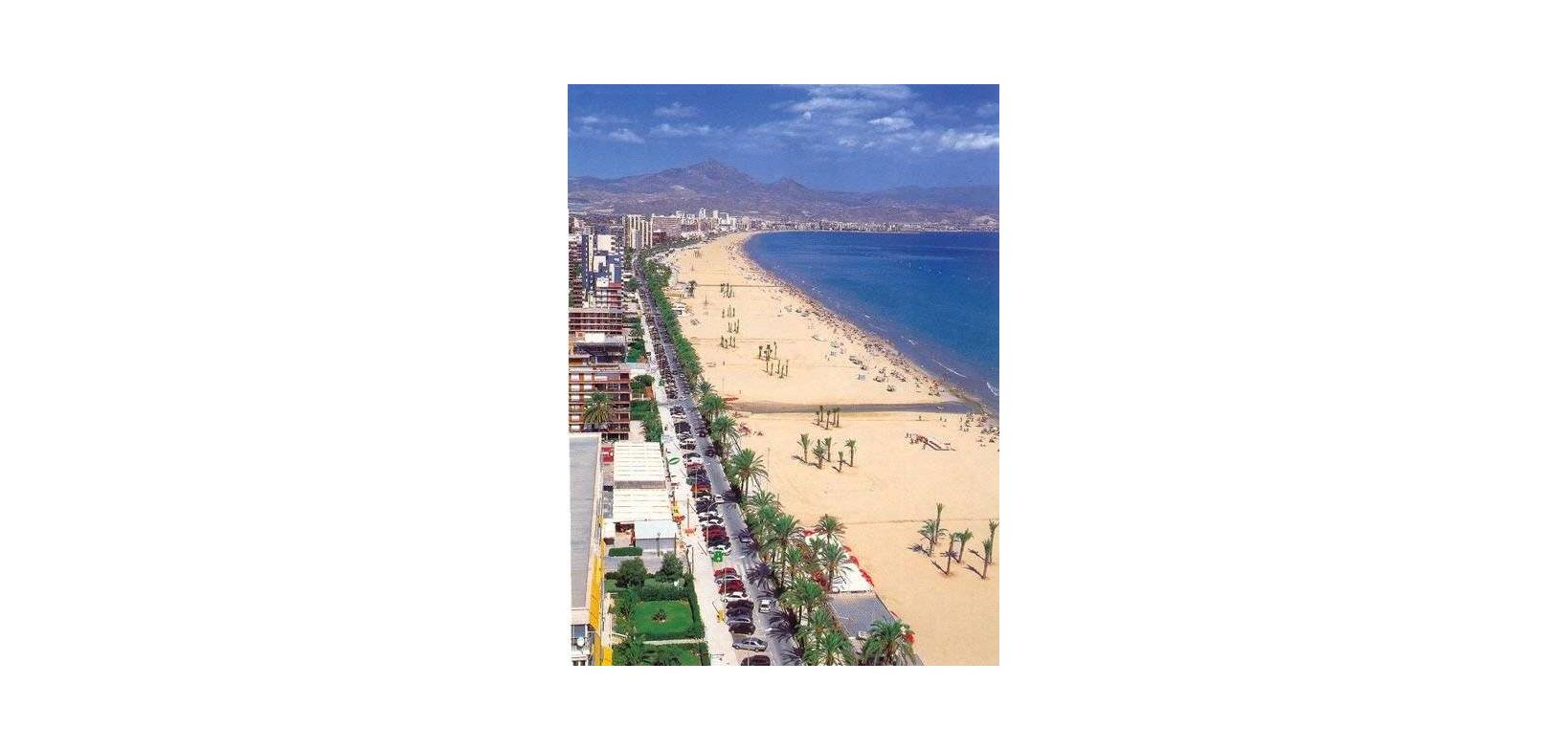 New Build - Apartment - San Juan Alicante - Franc Espinós