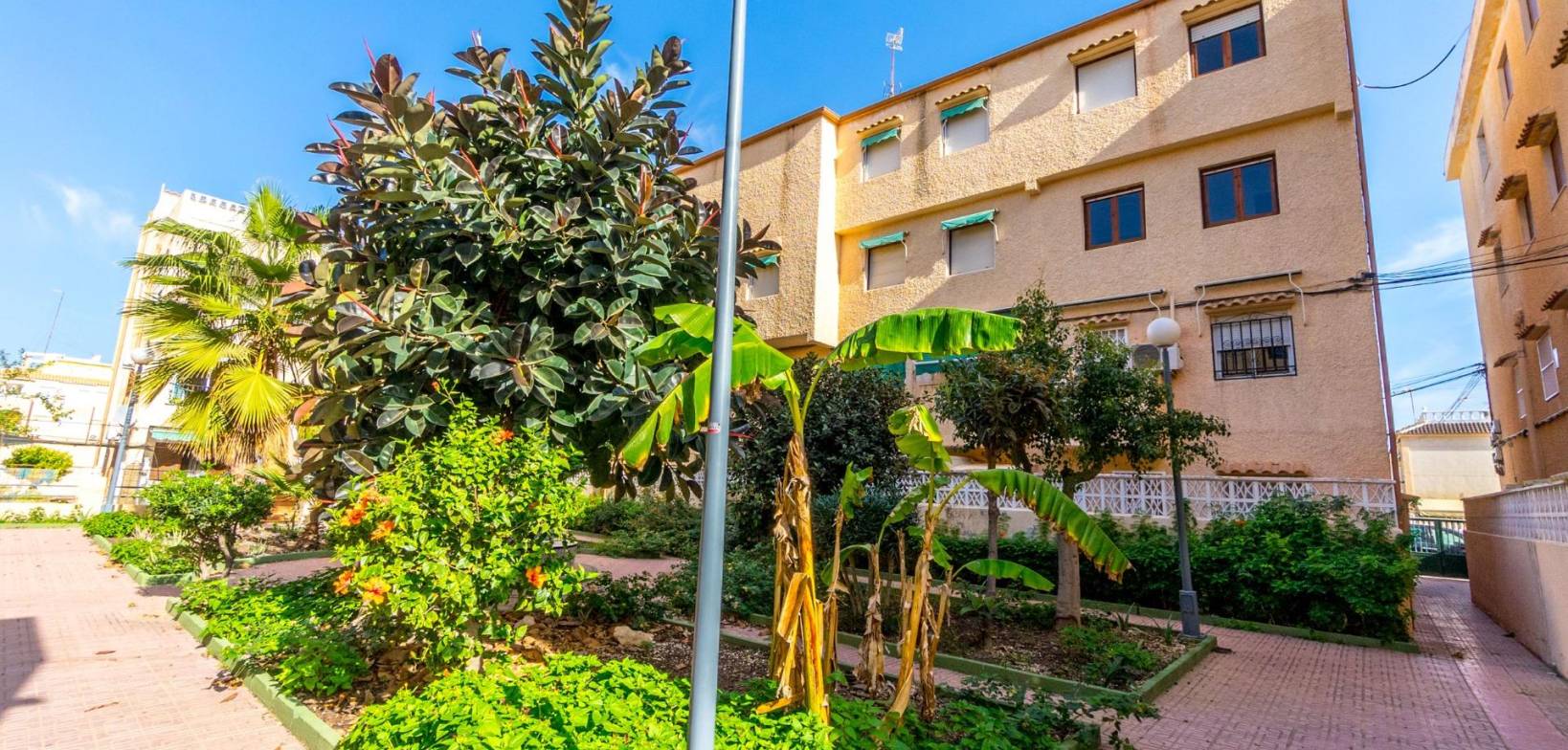 Begagnat - Apartment - Torrevieja - Los Europeos