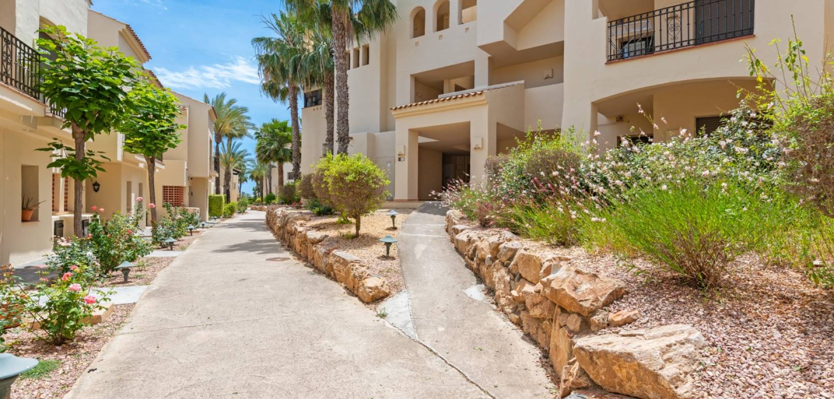 Venta - Apartment - San Javier - Roda Golf